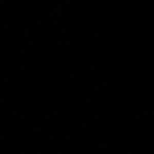 Meet your Posher, Nora